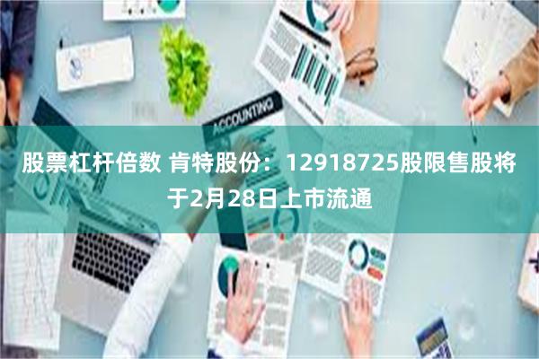 股票杠杆倍数 肯特股份：12918725股限售股将于2月28日上市流通