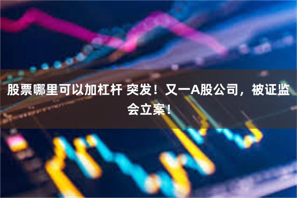 股票哪里可以加杠杆 突发！又一A股公司，被证监会立案！