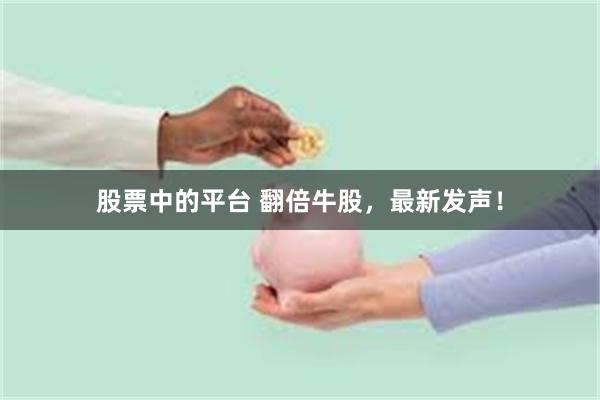 股票中的平台 翻倍牛股，最新发声！