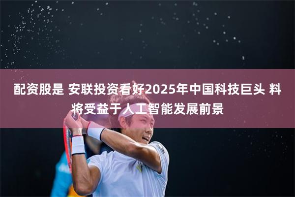 配资股是 安联投资看好2025年中国科技巨头 料将受益于人工智能发展前景