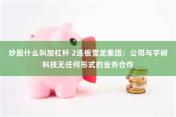 炒股什么叫加杠杆 2连板雪龙集团：公司与宇树科技无任何形式的业务合作