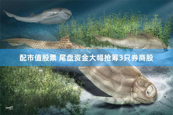 配市值股票 尾盘资金大幅抢筹3只券商股