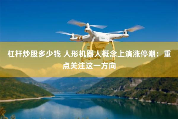 杠杆炒股多少钱 人形机器人概念上演涨停潮：重点关注这一方向