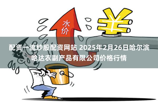 配资一流炒股配资网站 2025年2月26日哈尔滨哈达农副产品有限公司价格行情