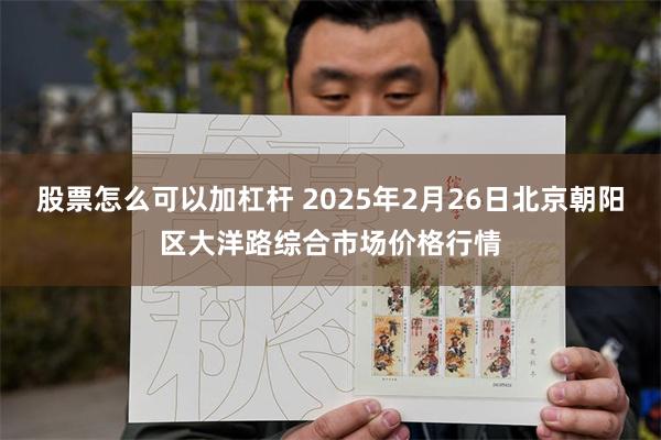 股票怎么可以加杠杆 2025年2月26日北京朝阳区大洋路综合市场价格行情