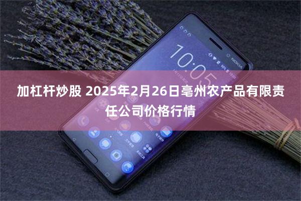 加杠杆炒股 2025年2月26日亳州农产品有限责任公司价格行情