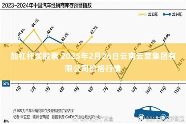 加杠杆买股票 2025年2月26日云南云菜集团有限公司价格行情