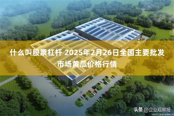 什么叫股票杠杆 2025年2月26日全国主要批发市场黄瓜价格行情