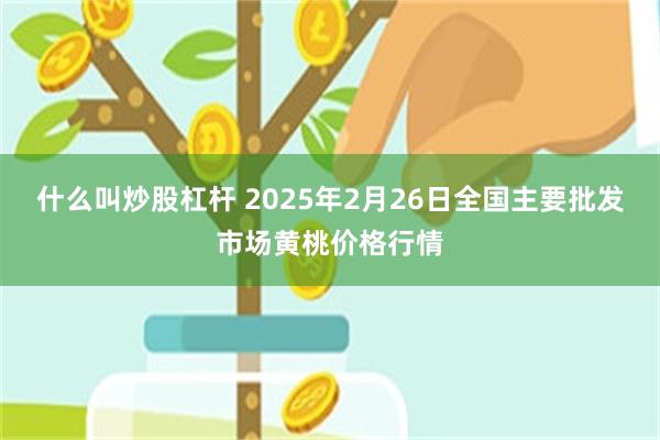 什么叫炒股杠杆 2025年2月26日全国主要批发市场黄桃价格行情