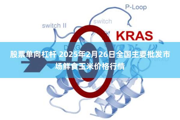 股票单向杠杆 2025年2月26日全国主要批发市场鲜食玉米价格行情