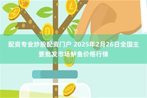 配资专业炒股配资门户 2025年2月26日全国主要批发市场鲈鱼价格行情