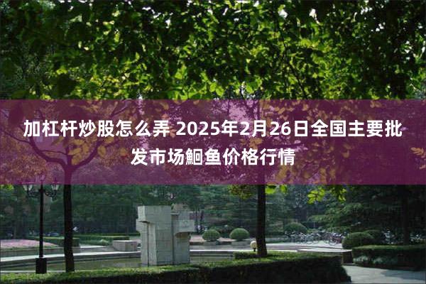 加杠杆炒股怎么弄 2025年2月26日全国主要批发市场鮰鱼价格行情