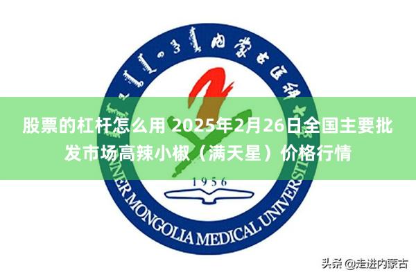 股票的杠杆怎么用 2025年2月26日全国主要批发市场高辣小椒（满天星）价格行情