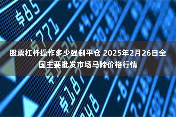 股票杠杆操作多少强制平仓 2025年2月26日全国主要批发市场马蹄价格行情