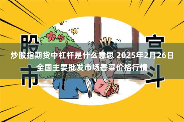炒股指期货中杠杆是什么意思 2025年2月26日全国主要批发市场香菜价格行情