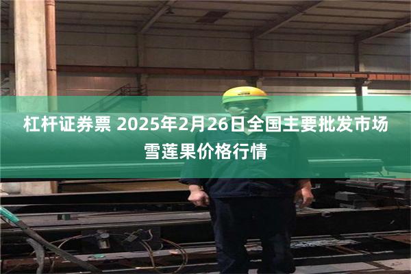 杠杆证券票 2025年2月26日全国主要批发市场雪莲果价格行情