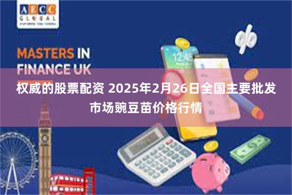 权威的股票配资 2025年2月26日全国主要批发市场豌豆苗价格行情
