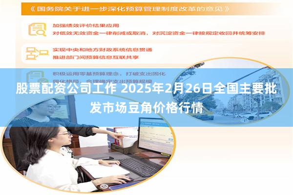 股票配资公司工作 2025年2月26日全国主要批发市场豆角价格行情