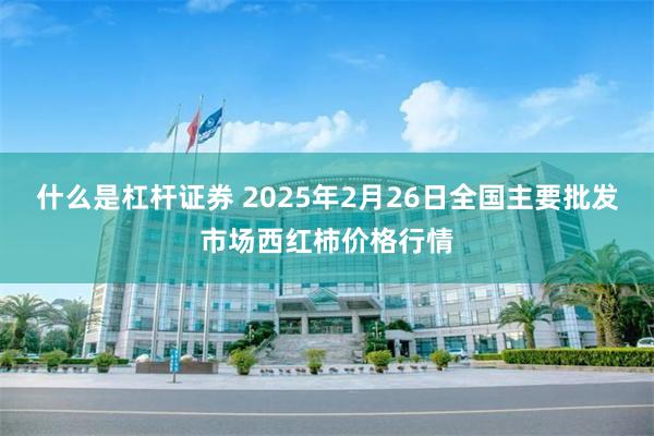 什么是杠杆证券 2025年2月26日全国主要批发市场西红柿价格行情