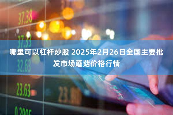 哪里可以杠杆炒股 2025年2月26日全国主要批发市场蘑菇价格行情