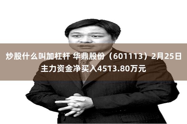 炒股什么叫加杠杆 华鼎股份（601113）2月25日主力资金净买入4513.80万元