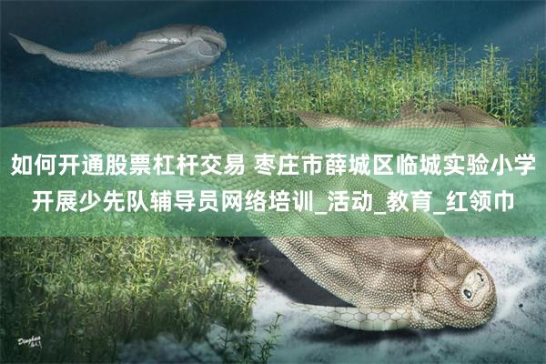 如何开通股票杠杆交易 枣庄市薛城区临城实验小学开展少先队辅导员网络培训_活动_教育_红领巾