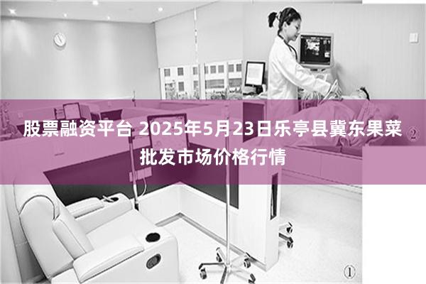 股票融资平台 2025年5月23日乐亭县冀东果菜批发市场价格行情