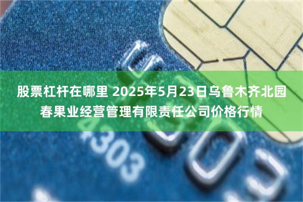 股票杠杆在哪里 2025年5月23日乌鲁木齐北园春果业经营管理有限责任公司价格行情