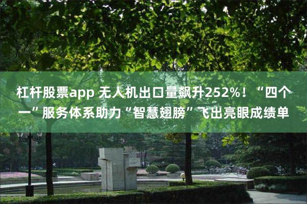 杠杆股票app 无人机出口量飙升252%！“四个一”服务体系助力“智慧翅膀”飞出亮眼成绩单