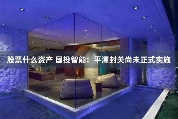 股票什么资产 国投智能：平潭封关尚未正式实施