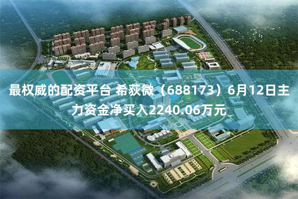 最权威的配资平台 希荻微（688173）6月12日主力资金净买入2240.06万元