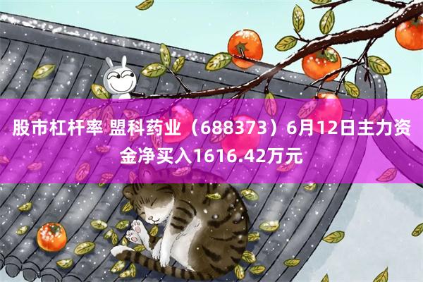 股市杠杆率 盟科药业（688373）6月12日主力资金净买入1616.42万元