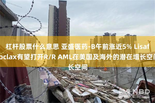 杠杆股票什么意思 亚盛医药-B午前涨近5% Lisaftoclax有望打开R/R AML在美国及海外的潜在增长空间