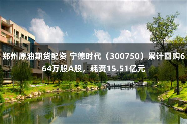 郑州原油期货配资 宁德时代（300750）累计回购664万股A股，耗资15.51亿元