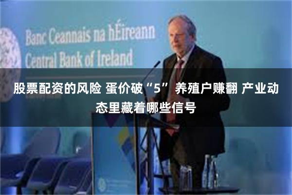 股票配资的风险 蛋价破“5” 养殖户赚翻 产业动态里藏着哪些信号