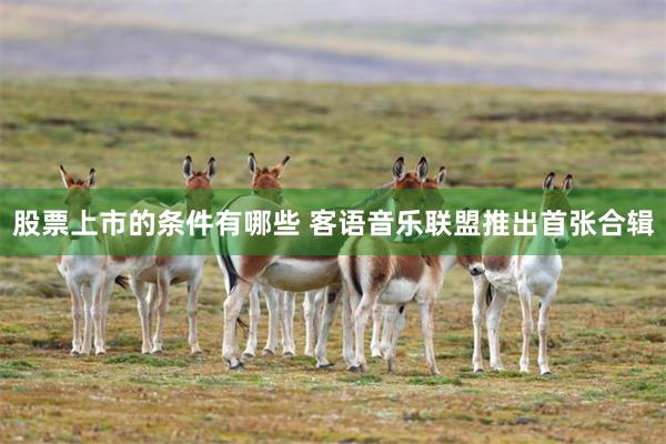 股票上市的条件有哪些 客语音乐联盟推出首张合辑