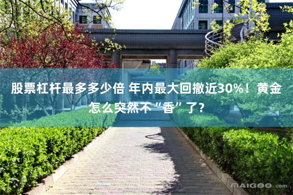 股票杠杆最多多少倍 年内最大回撤近30%！黄金怎么突然不“香”了？