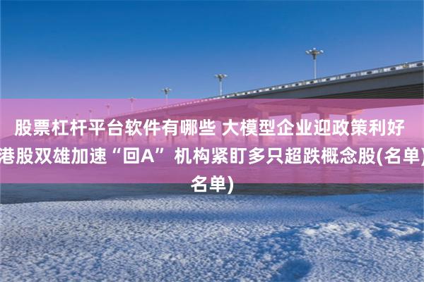 股票杠杆平台软件有哪些 大模型企业迎政策利好 港股双雄加速“回A” 机构紧盯多只超跌概念股(名单)