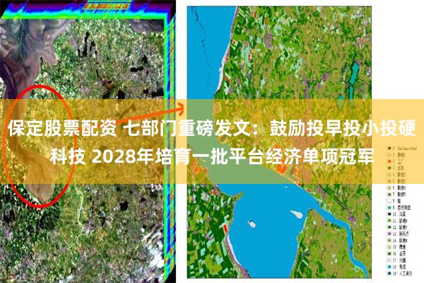 保定股票配资 七部门重磅发文:鼓励投早投小投硬科技 2028年培育一批平台经济单项冠军