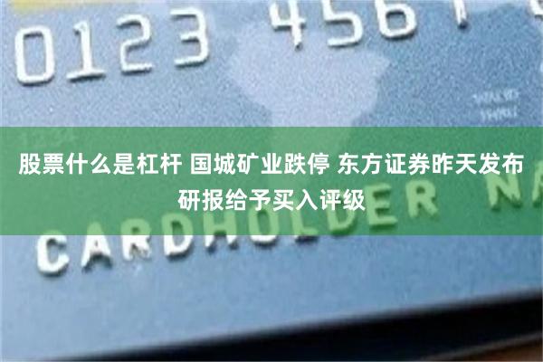 股票什么是杠杆 国城矿业跌停 东方证券昨天发布研报给予买入评级
