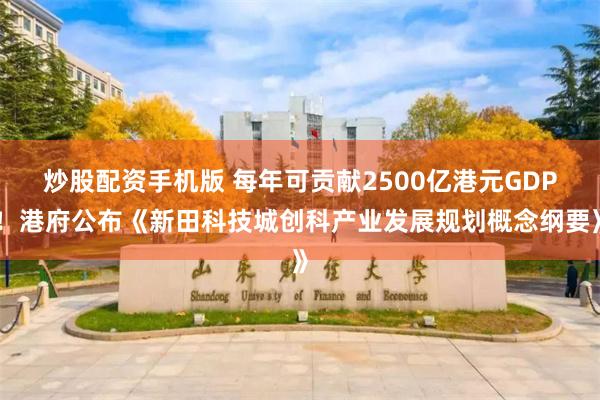 炒股配资手机版 每年可贡献2500亿港元GDP！港府公布《新田科技城创科产业发展规划概念纲要》