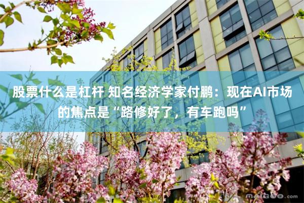 股票什么是杠杆 知名经济学家付鹏：现在AI市场的焦点是“路修好了，有车跑吗”