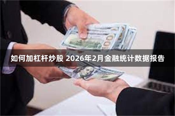如何加杠杆炒股 2026年2月金融统计数据报告