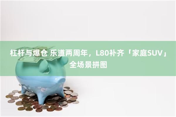 杠杆与爆仓 乐道两周年，L80补齐「家庭SUV」全场景拼图