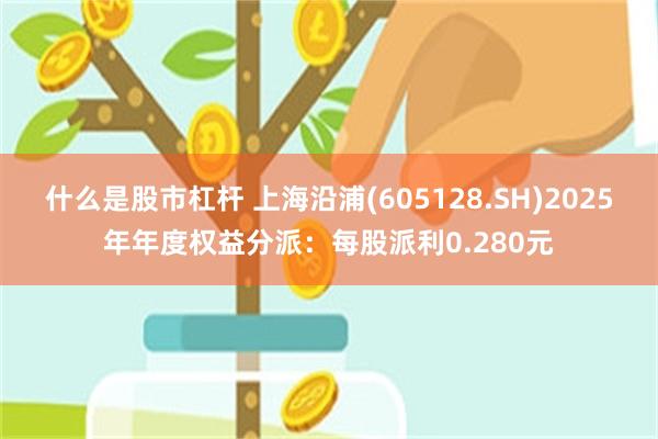 什么是股市杠杆 上海沿浦(605128.SH)2025年年度权益分派：每股派利0.280元