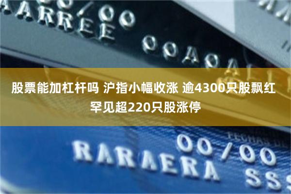 股票能加杠杆吗 沪指小幅收涨 逾4300只股飘红 罕见超220只股涨停