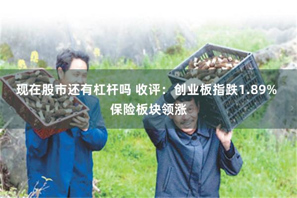 现在股市还有杠杆吗 收评：创业板指跌1.89% 保险板块领涨