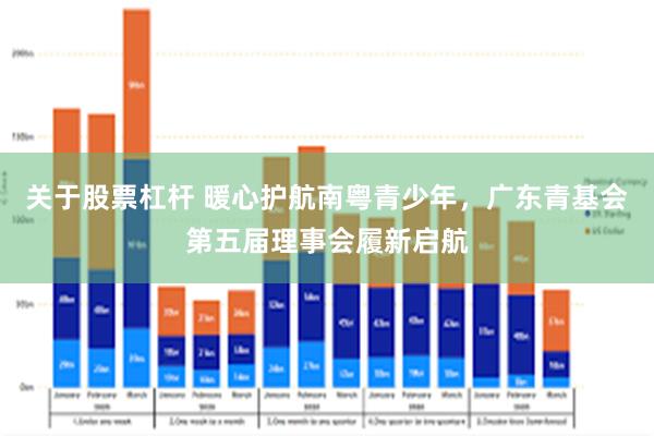 关于股票杠杆 暖心护航南粤青少年，广东青基会第五届理事会履新启航
