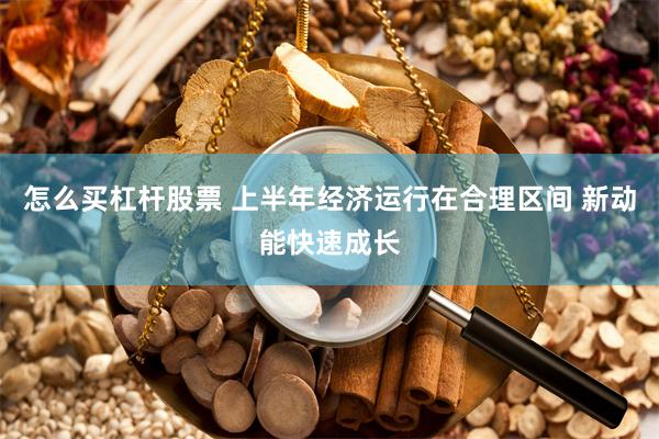怎么买杠杆股票 上半年经济运行在合理区间 新动能快速成长