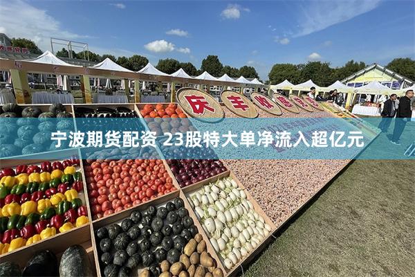 宁波期货配资 23股特大单净流入超亿元